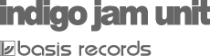 indigo-logo2.jpg