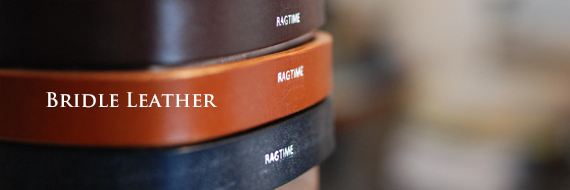 Bridle.jpg